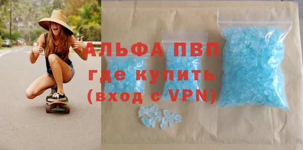 прущие грибы Мегион
