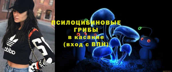 мдпв Медвежьегорск
