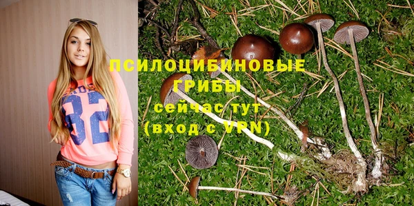 дурь Михайлов