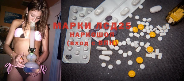 прущие грибы Мегион