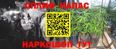 spice Заводоуковск