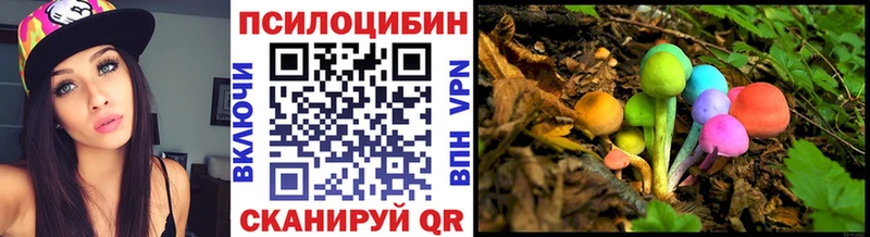 Галлюциногенные грибы Psilocybe Ипатово
