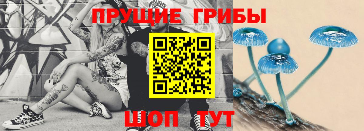 Галлюциногенные грибы Magic Shrooms  купить наркоту  Ипатово  Галлюциногенные грибы MAGIC MUSHROOMS 