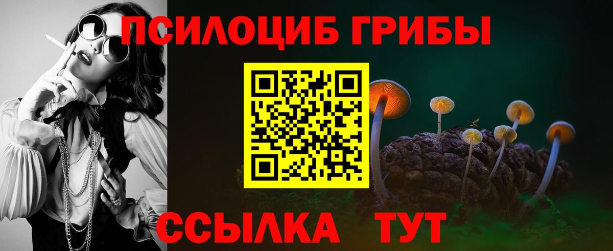 Псилоцибиновые грибы прущие грибы  Галлюциногенные грибы Psilocybine cubensis  Ипатово  купить  цена  Вход с VPN 